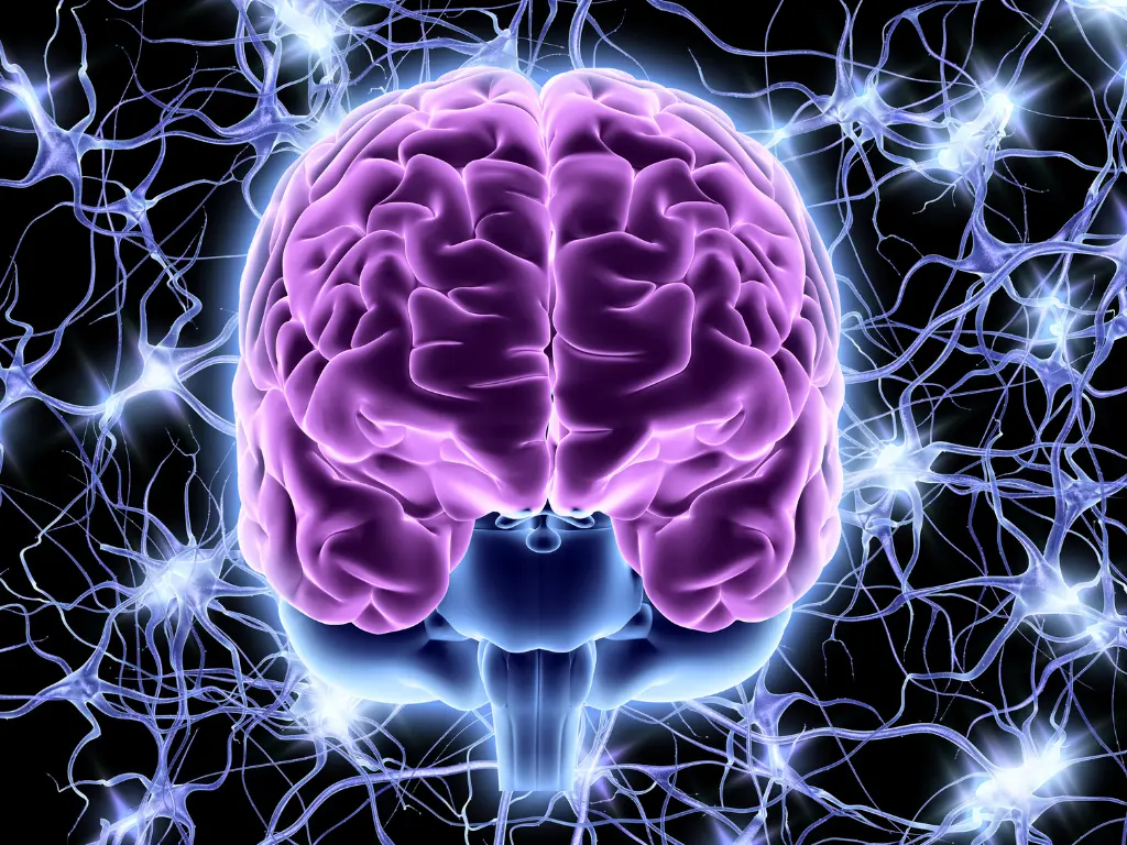 Como a Neuroplasticidade pode transformar a sua vida